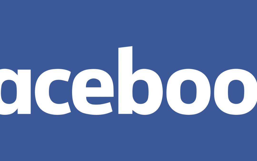 The Facebook Conspiracy  – Cambridge Analytica – What Now?